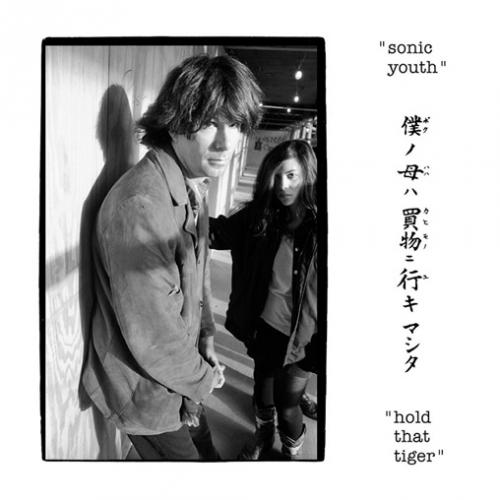 Sonic Youth 'Hold That Tiger' 2xLP