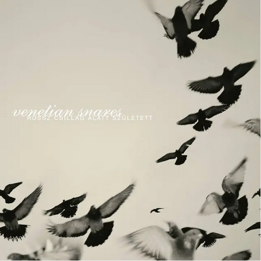 Venetian Snares 'Rossz Csillag Allat Szletett' 2xLP