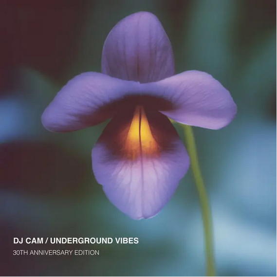 DJ Cam 'Underground Vibes (30th Anniversary)' LP