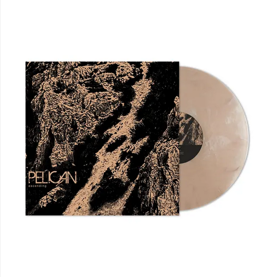 Pelican 'Ascending' 12"