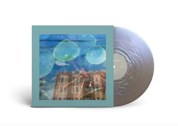 The Reds, Pinks and Purples 'Acknowledge Kindness' LP