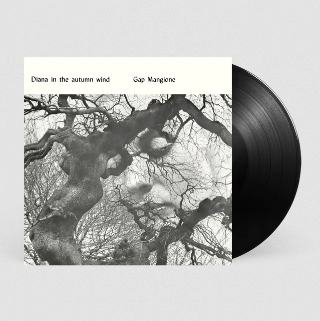 Gap Mangione 'Diana In The Autumn Wind' LP