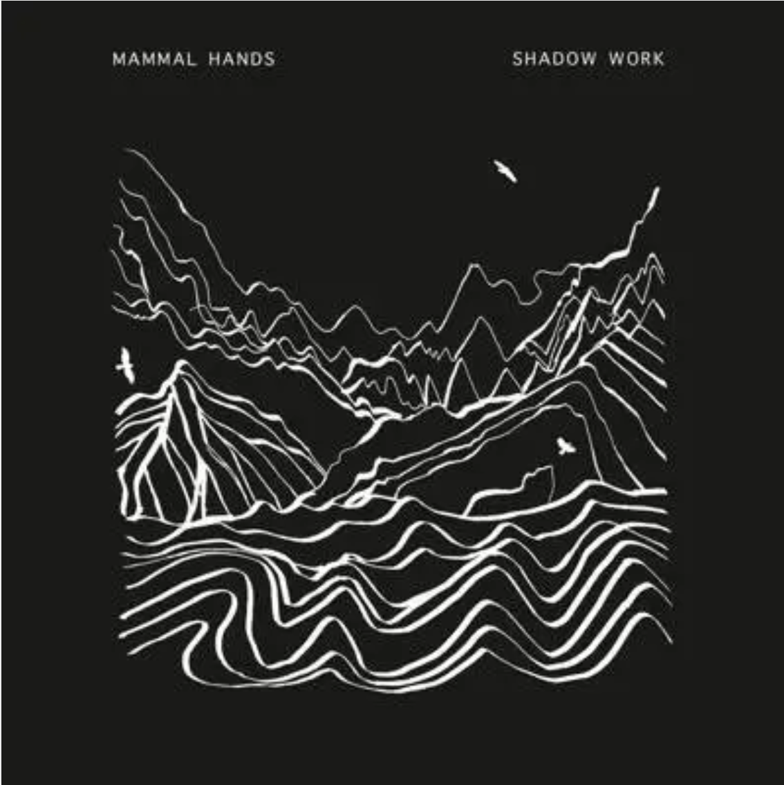 Mammal Hands 'Shadow Work' 2xLP