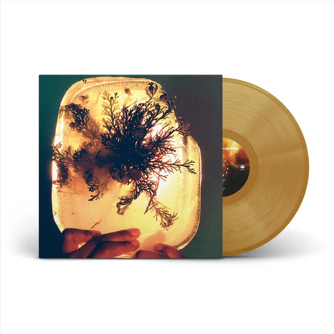 L'Rain 'fata morgana' LP