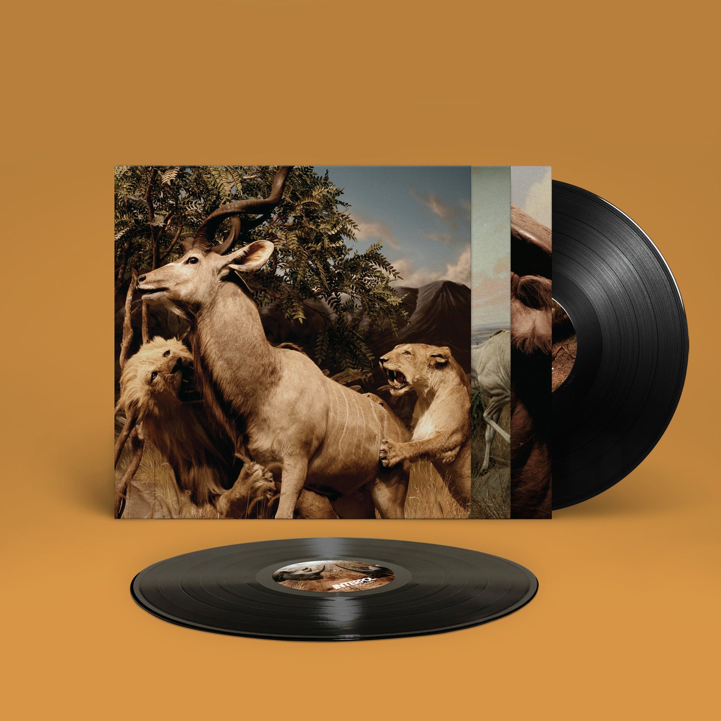 Interpol 'Our Love To Admire' 2xLP
