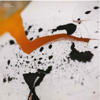 Toshiya Tsunoda 'Landscape and Voice' LP