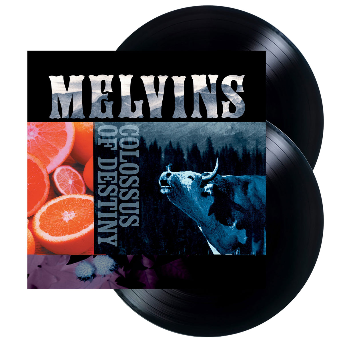 Melvins 'Colossus Of Destiny' 2xLP