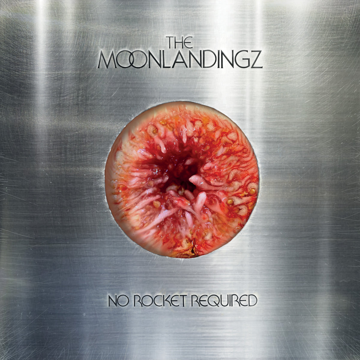 The Moonlandingz 'No Rocket Required'