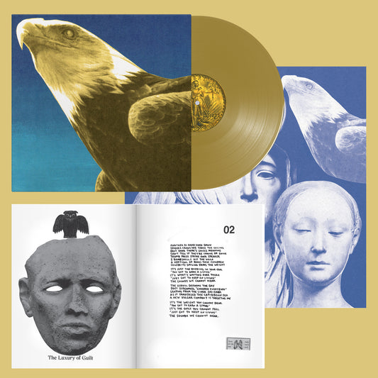 Protomartyr 'Hotel Usona' LP