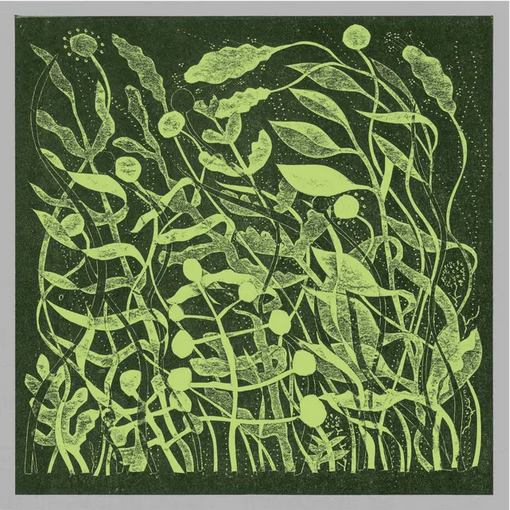 Kirk Barley 'Lux' LP