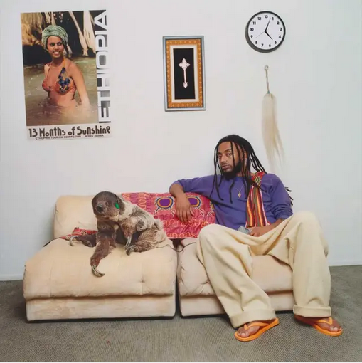 Aminé '13 Months of Sunshine' 2xLP