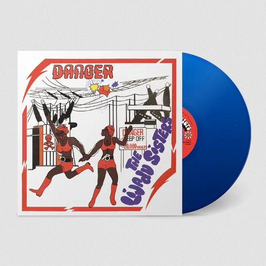 The Lijadu Sisters 'Danger' LP