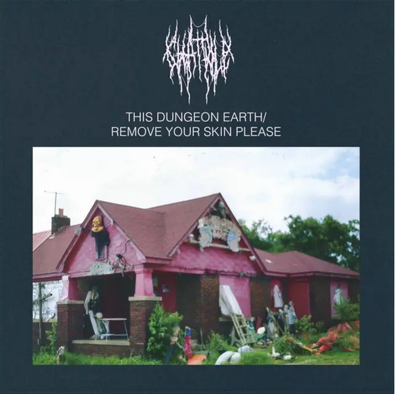 Chat Pile 'This Dungeon Earth / Remove Your Skin Please' LP