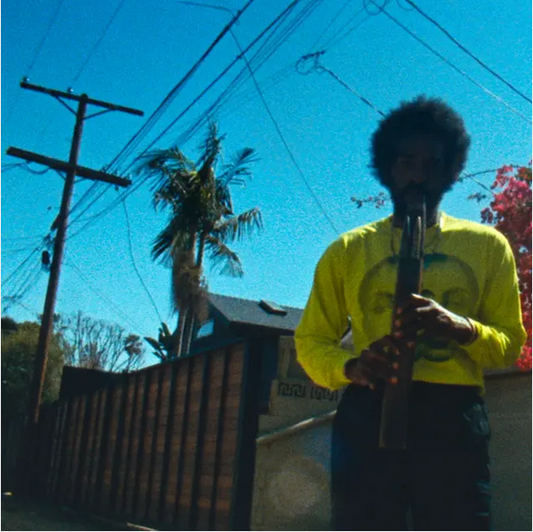 Andre 3000 'Moving Day' LP