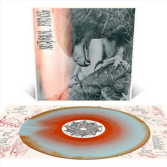 Author and Punisher 'Nocturnal Birding' LP