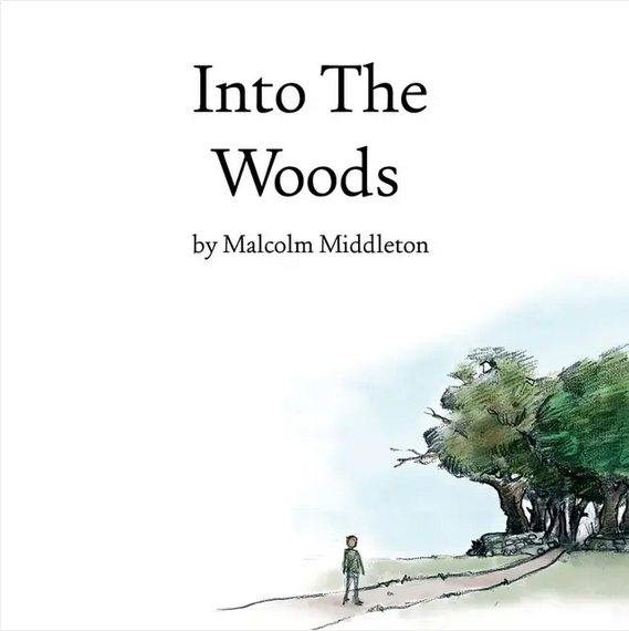 Malcolm Middleton ‘Into The Woods (20th Anniversary Edition)' LP