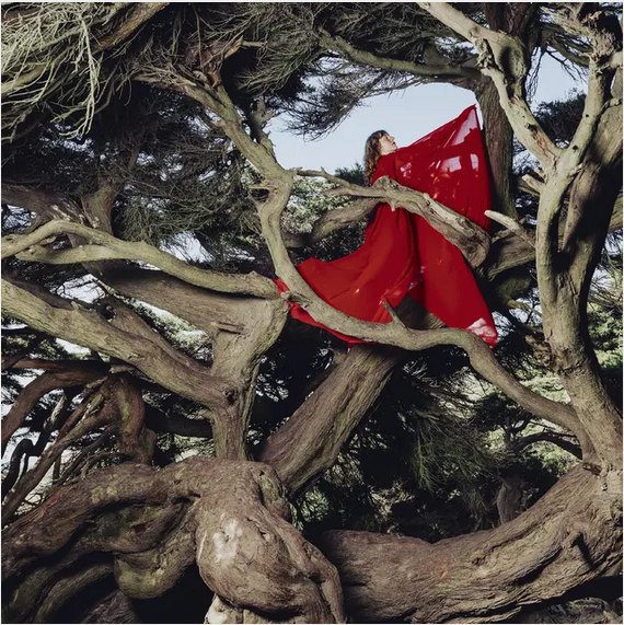 Hannah Frances 'Nested In Tangles' LP