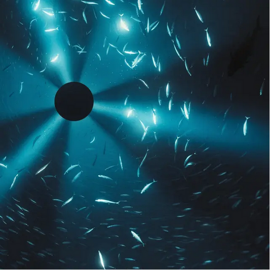 Laurel Halo 'Midnight Zone (Original Soundtrack to the Film by Julian Charrière)' LP
