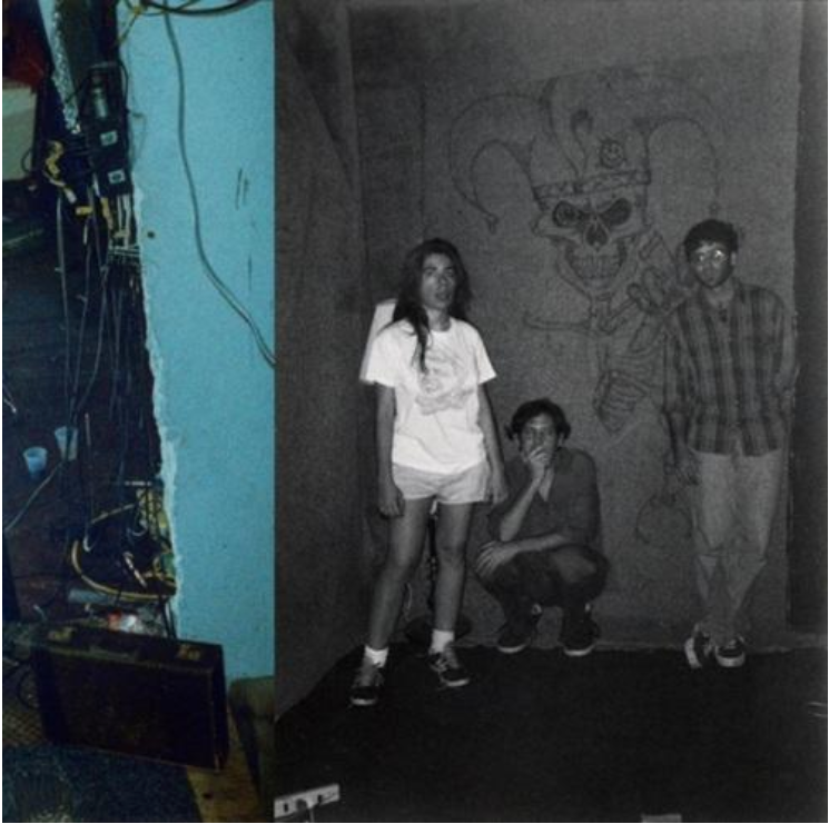 Harry Pussy 'You'll Never Play This Town Again' 2xLP