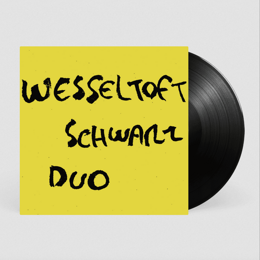 Wesseltoft and Schwarz 'Duo' LP