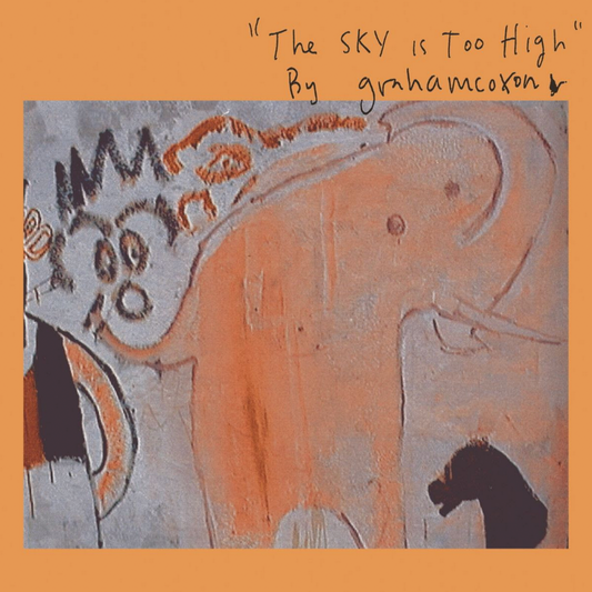 Graham Coxon 'The Sky Is Too High'