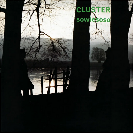 Cluster 'Sowiesoso' LP
