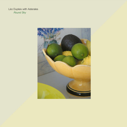 Leo Dupleix with Asterales 'Round Sky' LP
