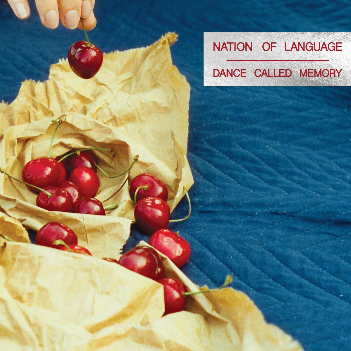 Nation Of Language 'Dance Called Memory' LP