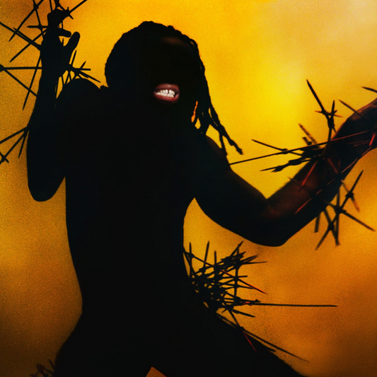 Young Fathers 'Heavy Heavy' LP